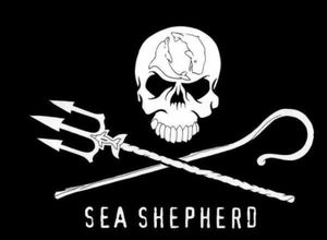 Sea-Shepherd-society