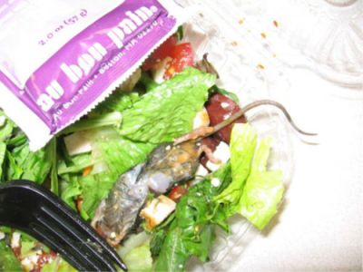 askotahlutur  mat - ms  fersku salati