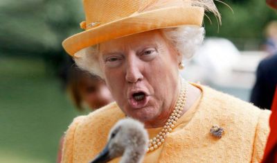 queen--trump