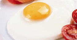 egg_1.png