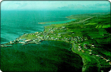 rshfn  Langanesi