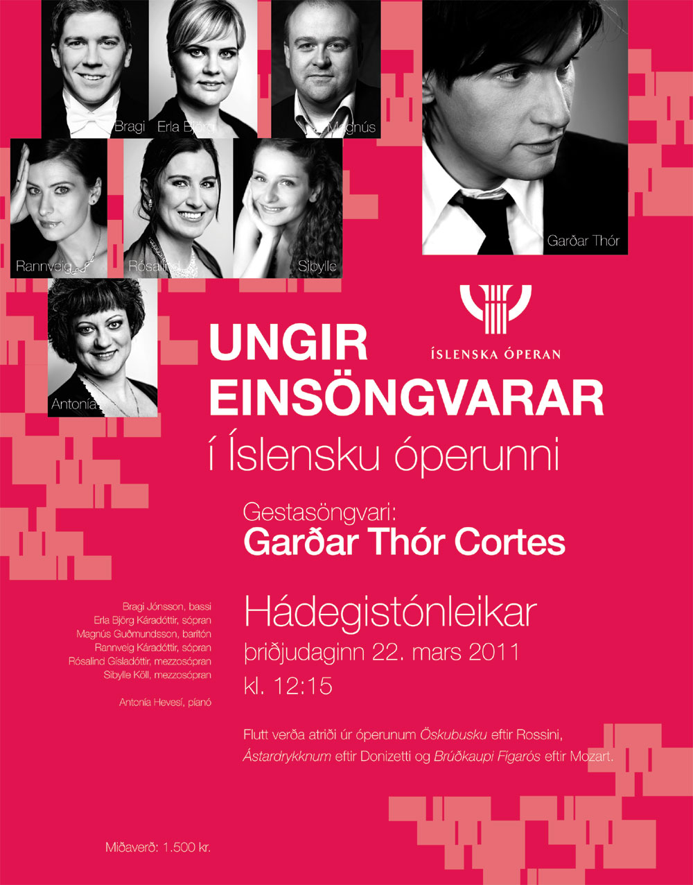 ungir einsngvarar